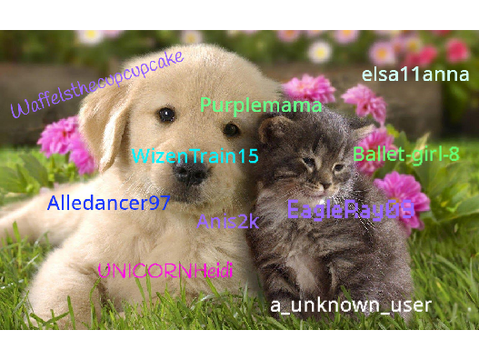 Sign To Help Stop Animal Abuse remix remix remix remix