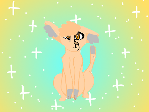 Mothdawn 