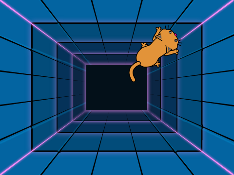 Cat chasing the mouse!