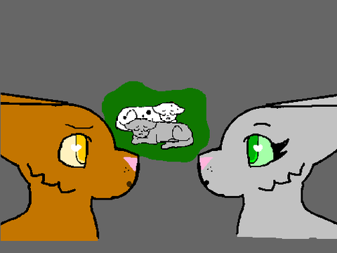 WARRIOR CATS MAP (CLOSED) Part 9