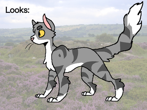 - TFF: Aftermath // Bio Sheet - Splashcloud
