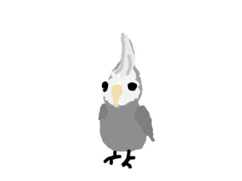 Fredrick the Cockatiel