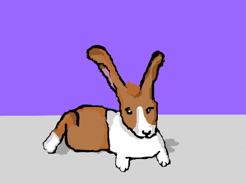 bunny cartoon