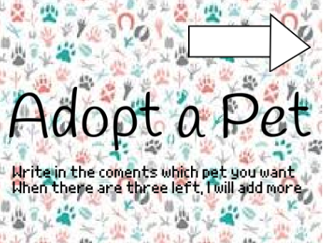 Adopt an Animal