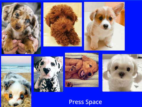 *Updated Aug 29* Dog Adoption!!! (Game) 