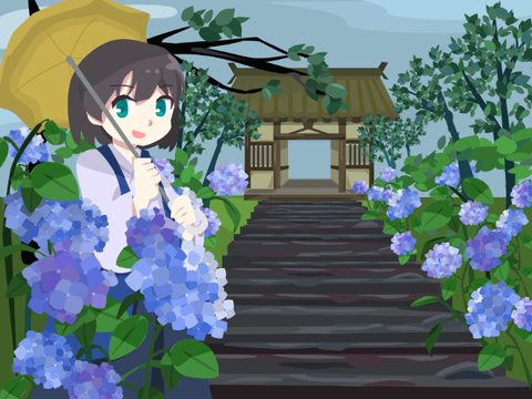 明月院の紫陽花 -Hydrangea-