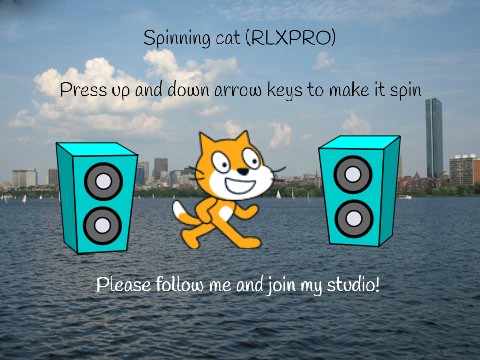 Spinning Scratch cat (RLXPRO)