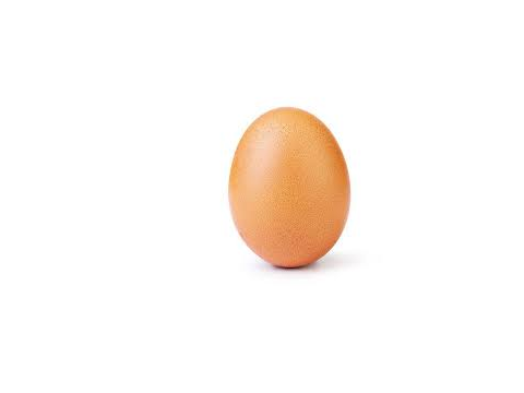 Egg