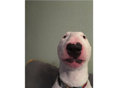 Walter