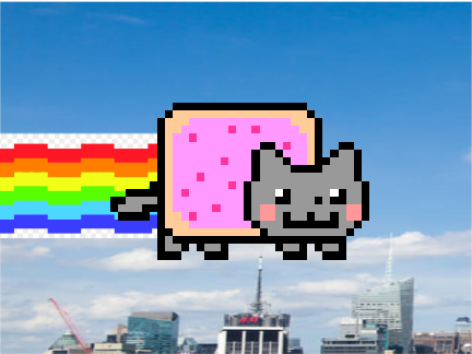 Im a kitty kitty kitty