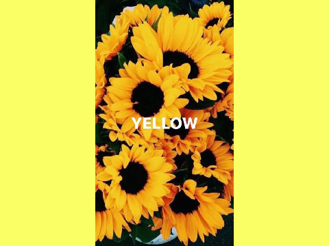Yellow