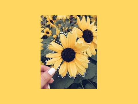 Mellow