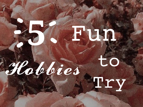 5 Fun Hobbies To Try