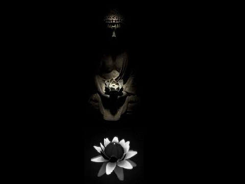 Vesak Special