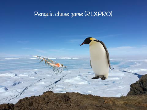 Penguin chase game (RLXPRO)