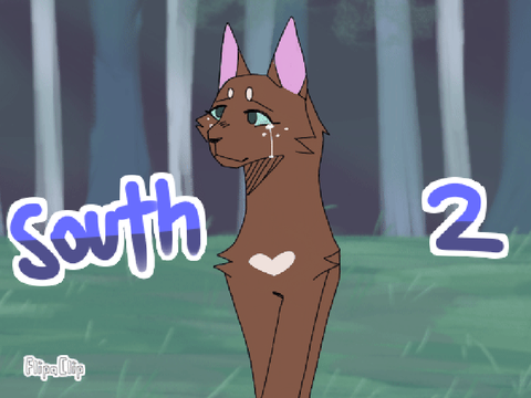 2 | south collab