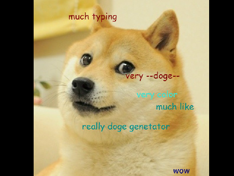 Doge