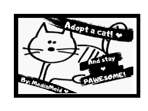 Adopted cats part1