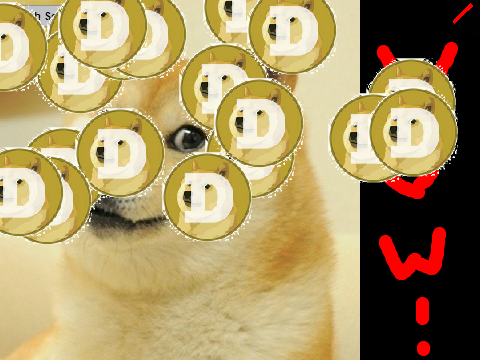 Doge