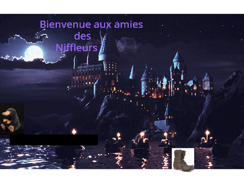 Niffleur parcours d'obstacle remix