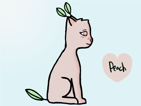 DTA Entry - Peach