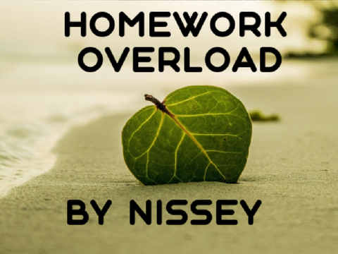 Dealing with online homework overload