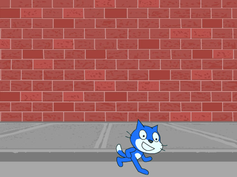 spider cat remix