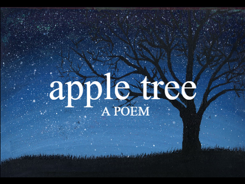 apple tree // a poem