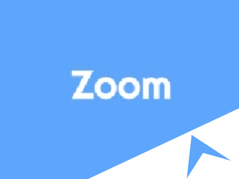 Zoom UI