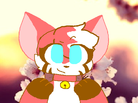 red fox
