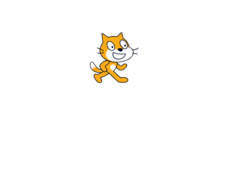 Interview scratch cat!