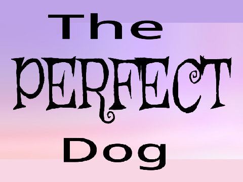 The Perfect Dog
