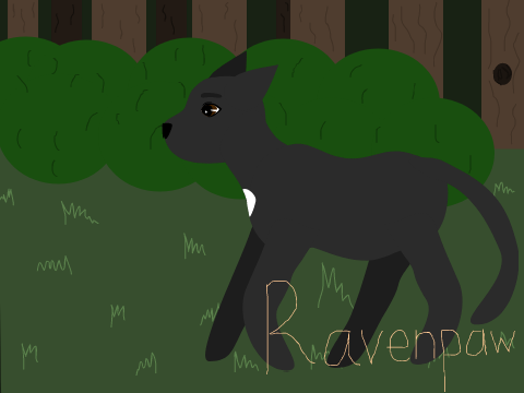 Ravenpaw Art