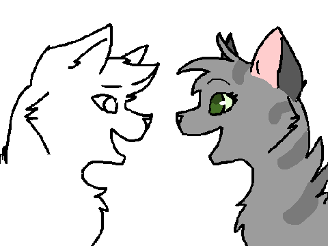 Ship Lilykitti!