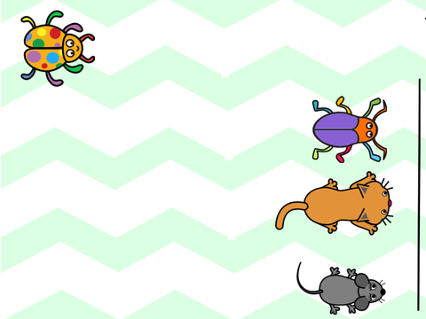 Animal race 