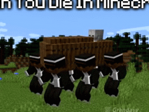 don't make steve oof