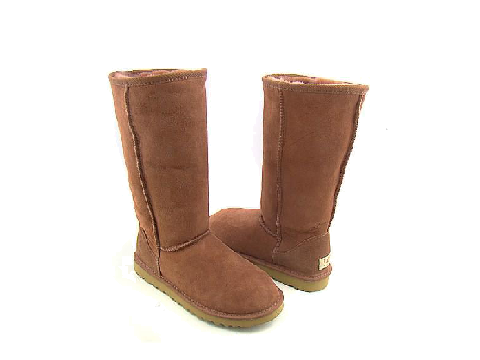 Boots and Cats Beatbox