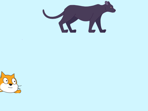 panther vs. flying cat