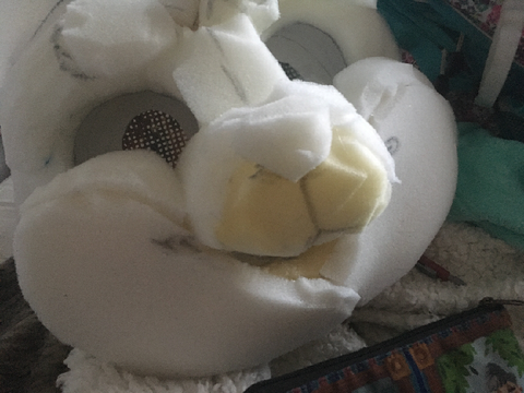 wip uwo