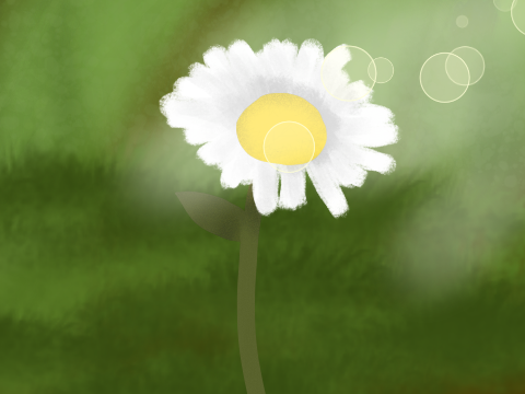 daisy <3