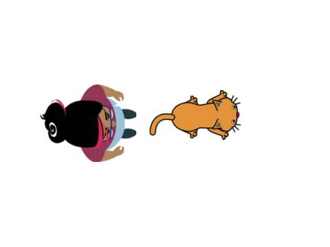 The CAT!