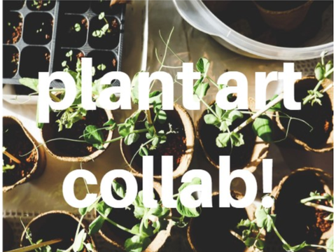 plant art collab - entry