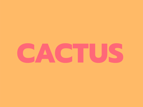 Cactus | PP4