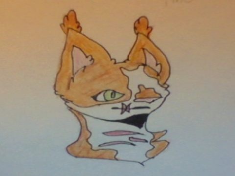 Warrior cat OC Dump