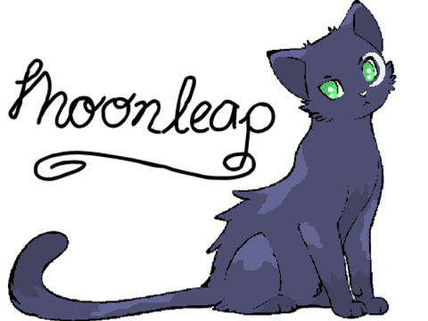Moonleap- cat coloring contest entry