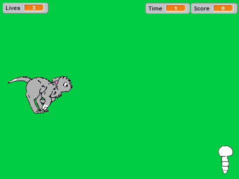 Kitty Runner