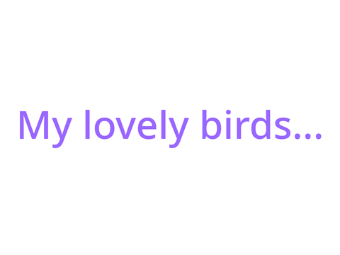 Birds