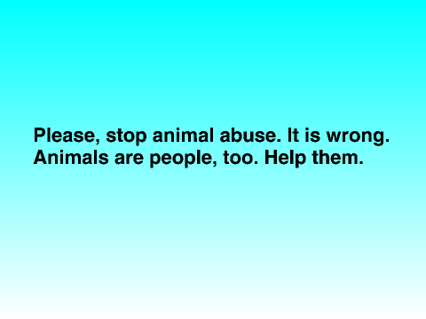  Animal Abuse Awareness