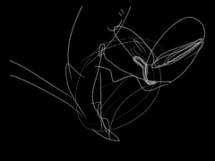 won't die young | 19 backup wip(ish)