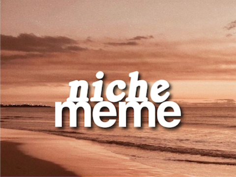 ❥ niche meme : entry 